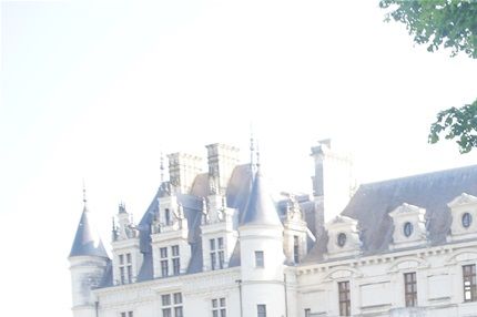 Une vingtaine d'adhérents de LSR 56 ont visité la région d'Amboise